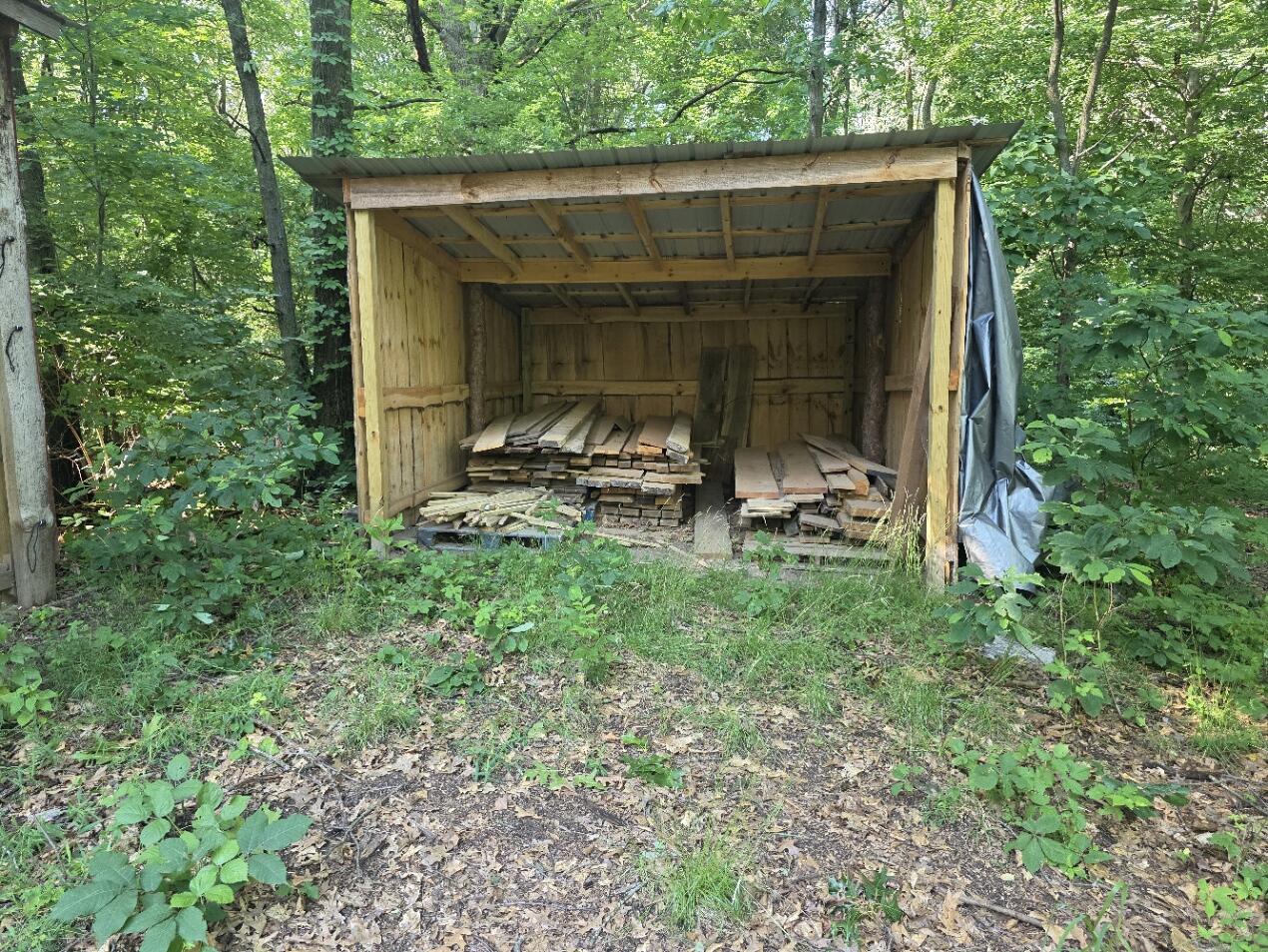 55942 Day Road Marcellus, MI 49067 - Photo 45 of 53 20260706_174334