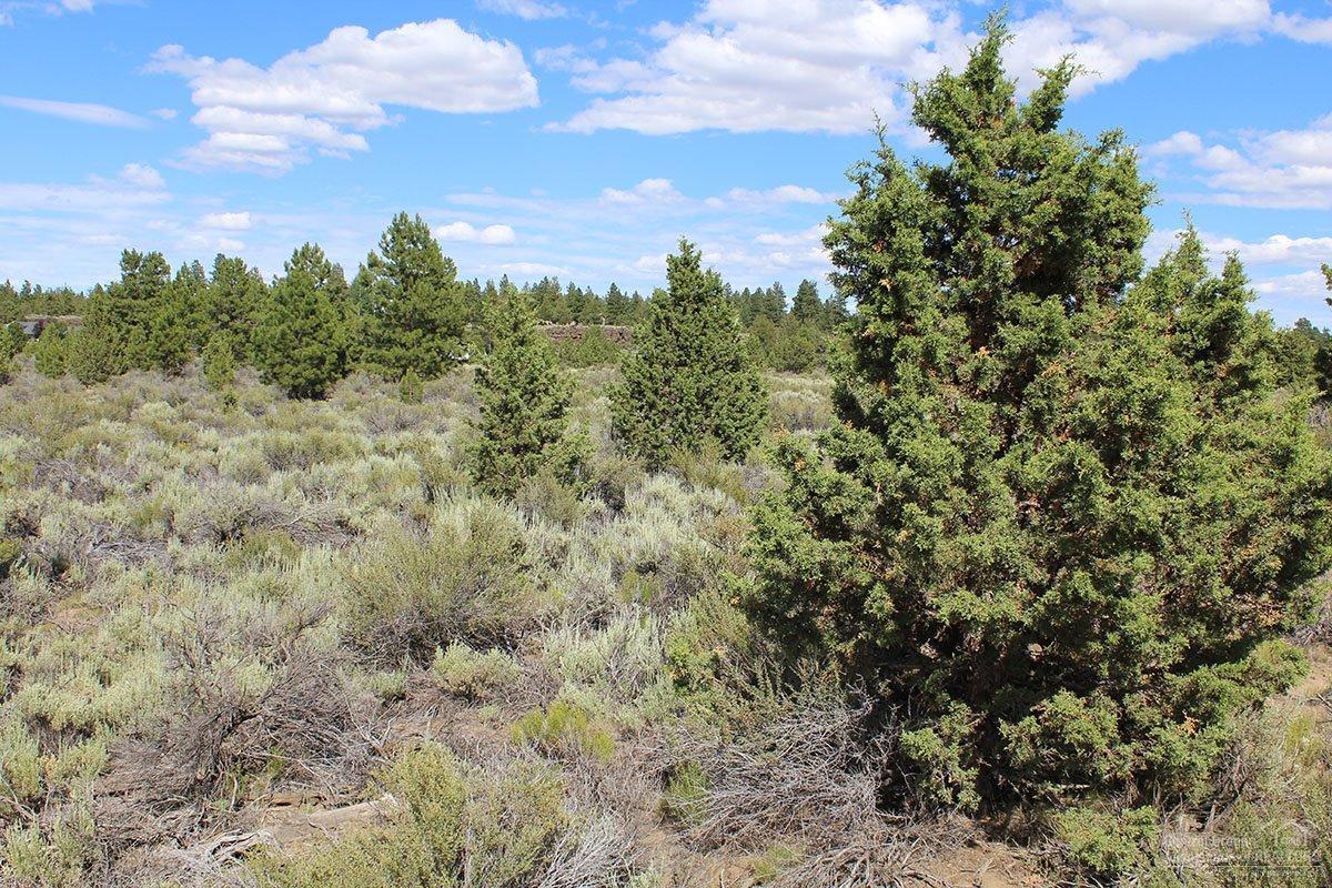 60680 Arnold Market Road Bend, OR 97702 - Photo 7 of 13 Additional Photo