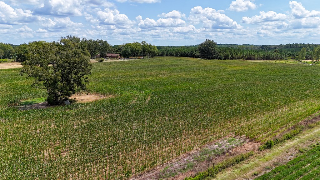 0 Price Road Slocomb, AL 36375 - Photo 12 of 13