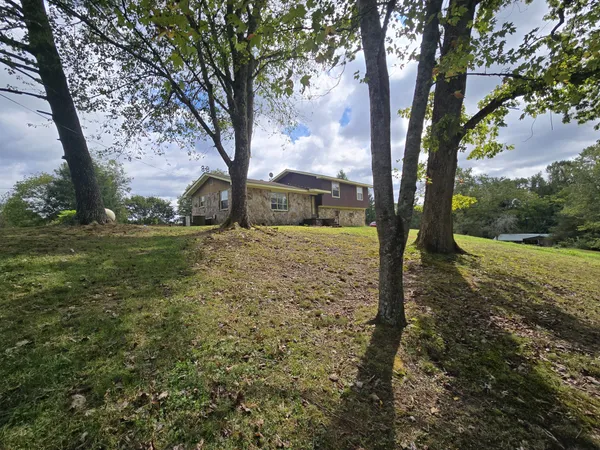 a view of yard with trees