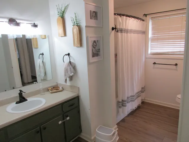 a bathroom with a sink a toilet and a mirror