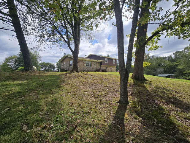 a view of yard with trees