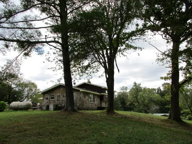 a view of a backyard with large trees