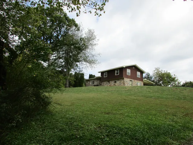 a view of a big yard with plants and large trees