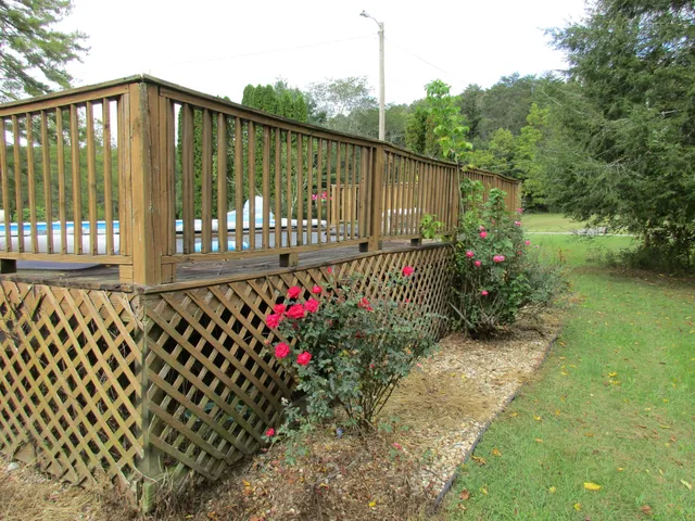 a street view with a couple of flower plants