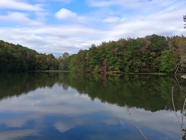 a view of a lake from a yard