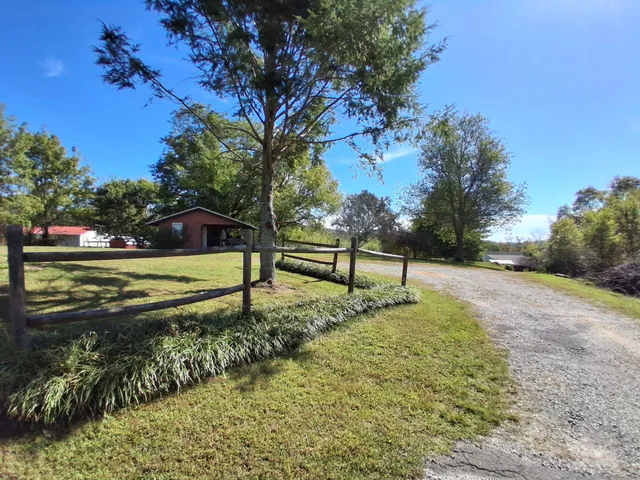 a view of a park with large trees