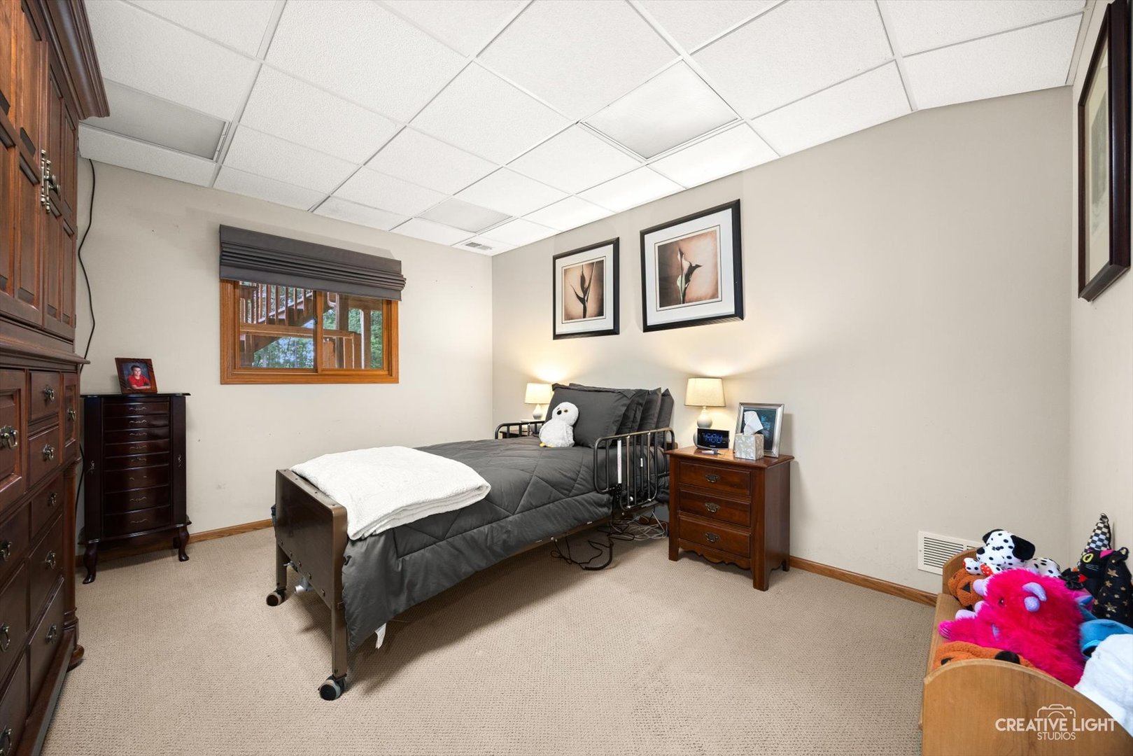 10605 Red Hawk Lane Spring Grove, IL 60071 - Photo 33 of 49