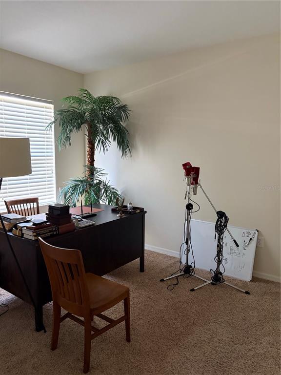 10505 Fenceline Road New Port Richey, FL 34655 - Photo 19 of 21 Gallery Image 19
