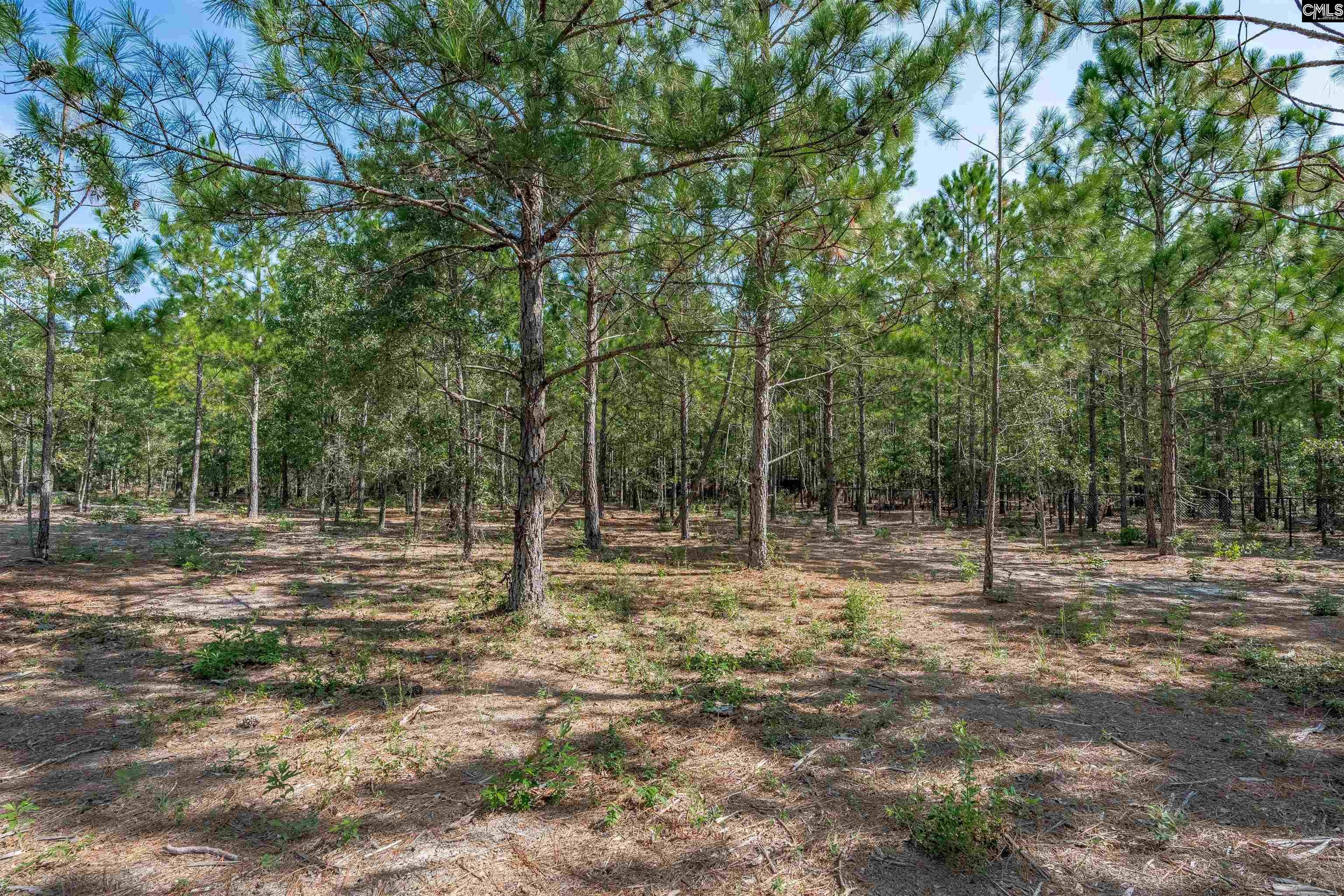 2058 Green Hill Road Lugoff, SC 29078 - Photo 43 of 46 Gallery Image 43
