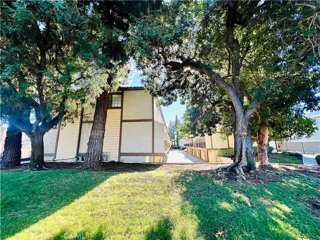 a view of backyard with tree