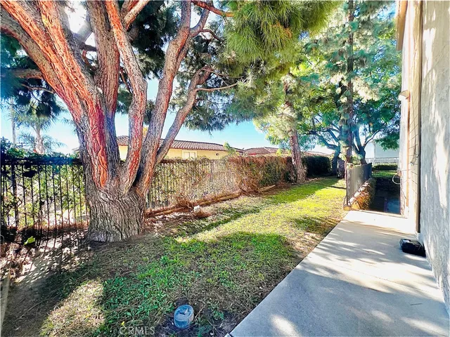 a view of a yard with plants and a large tree