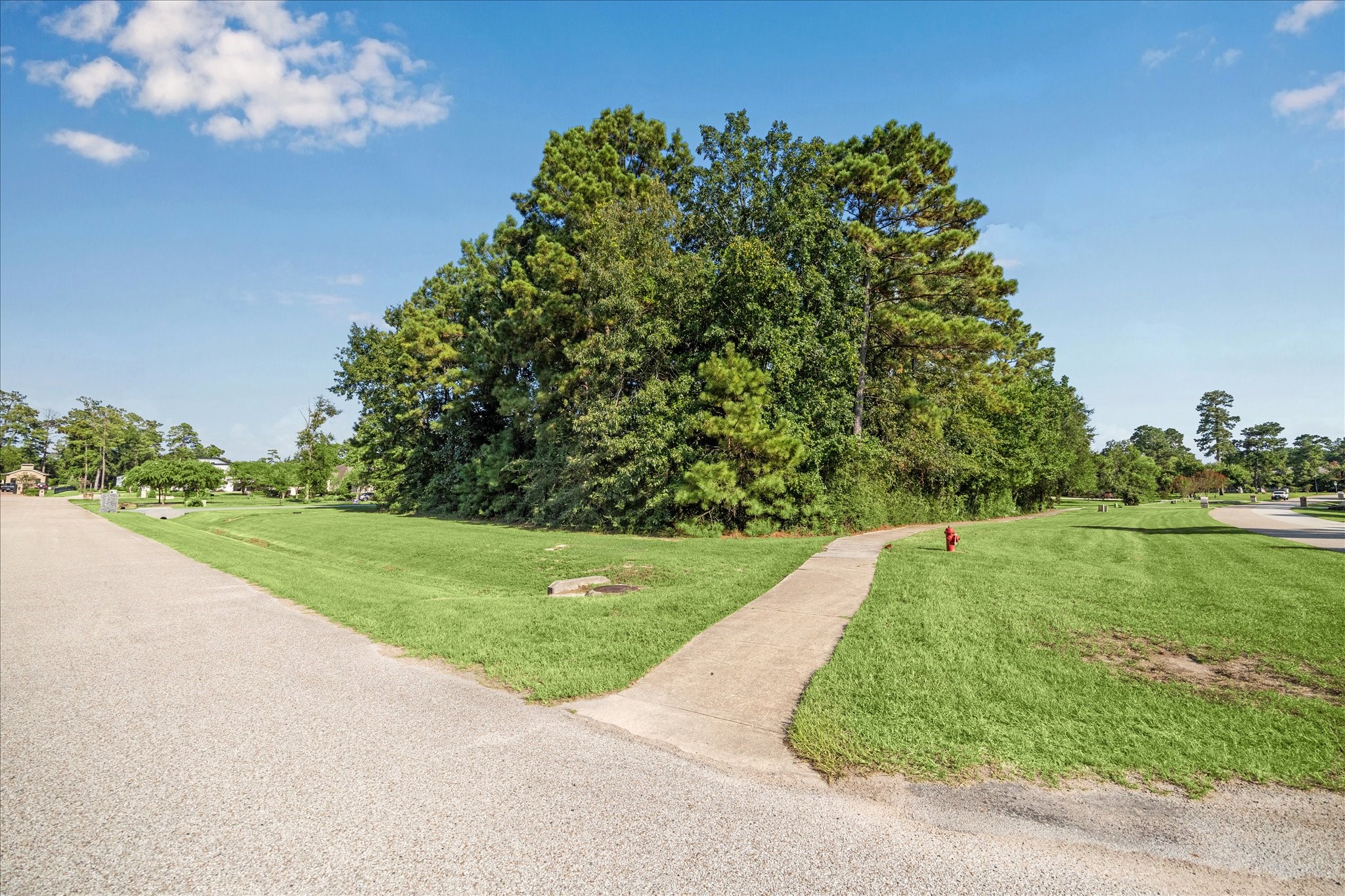 4502 Siandra Creek Court Spring, TX 77386 - Photo 3 of 10 a view of a garden with a trampoline
