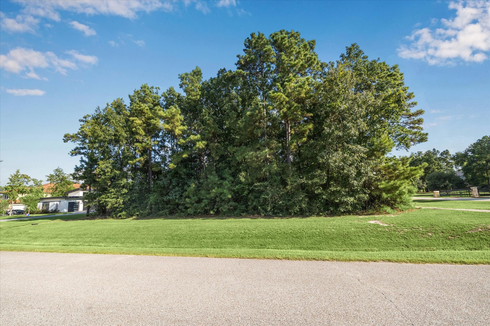 4502 Siandra Creek Court Spring, TX 77386 - Photo 4 of 10 a view of a golf course