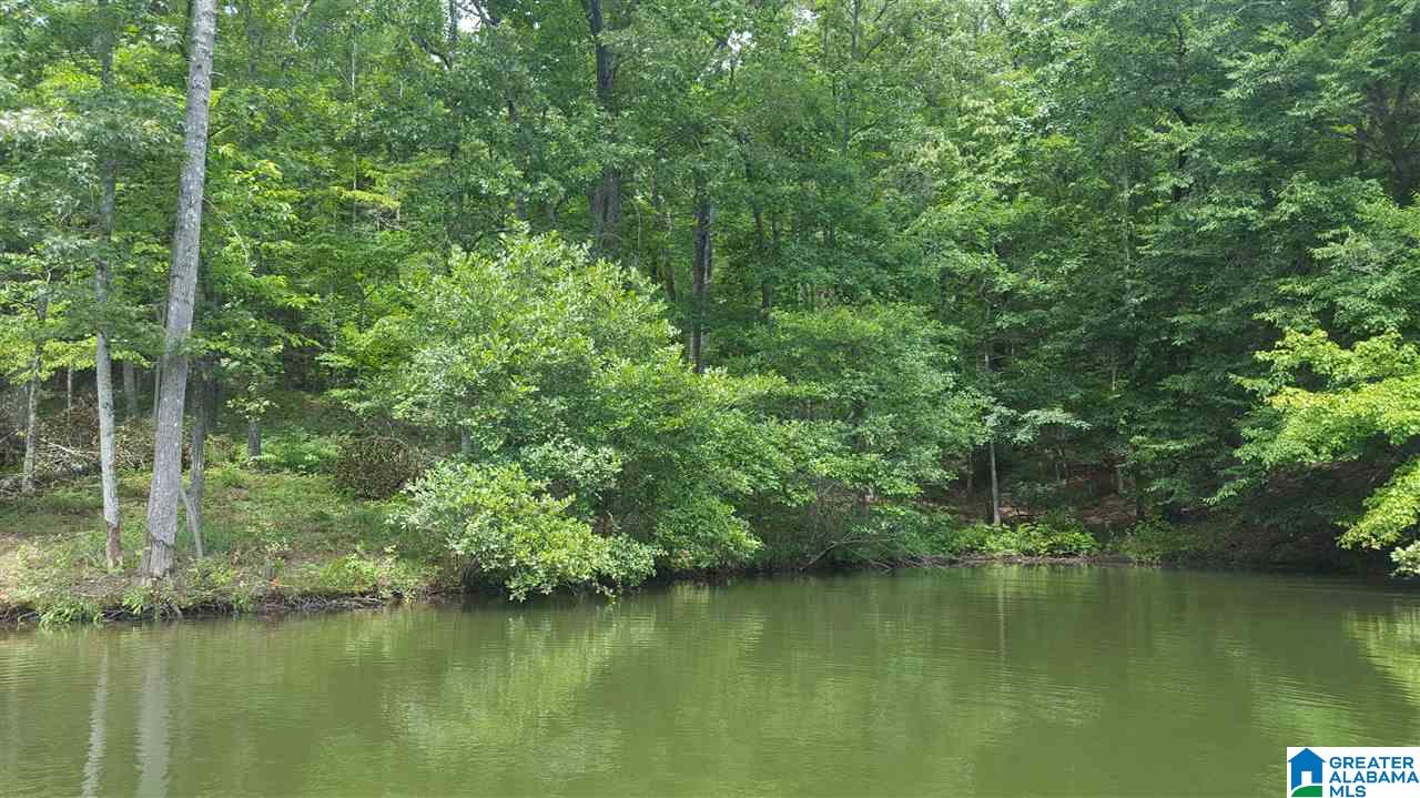 11-acres Deer Run Road, Unit 148330000001 010 Alabaster, AL 35007 - Photo 26 of 34
