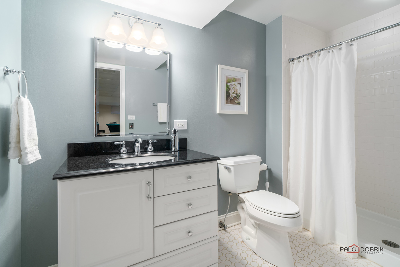 115 West Honeysuckle Road Lake Forest, IL 60045 - Photo 38 of 51 Gallery Image 38