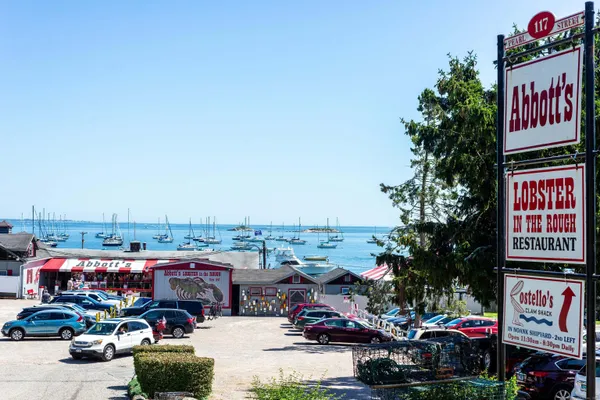 a white house that has a tree in front of it
