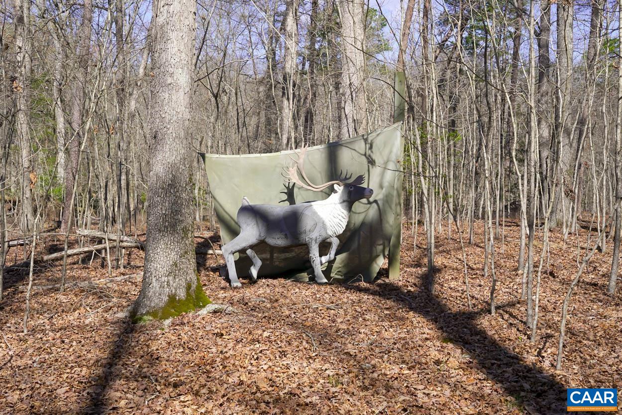 361 Union Mills Road Troy, VA 22974 - Photo 70 of 75