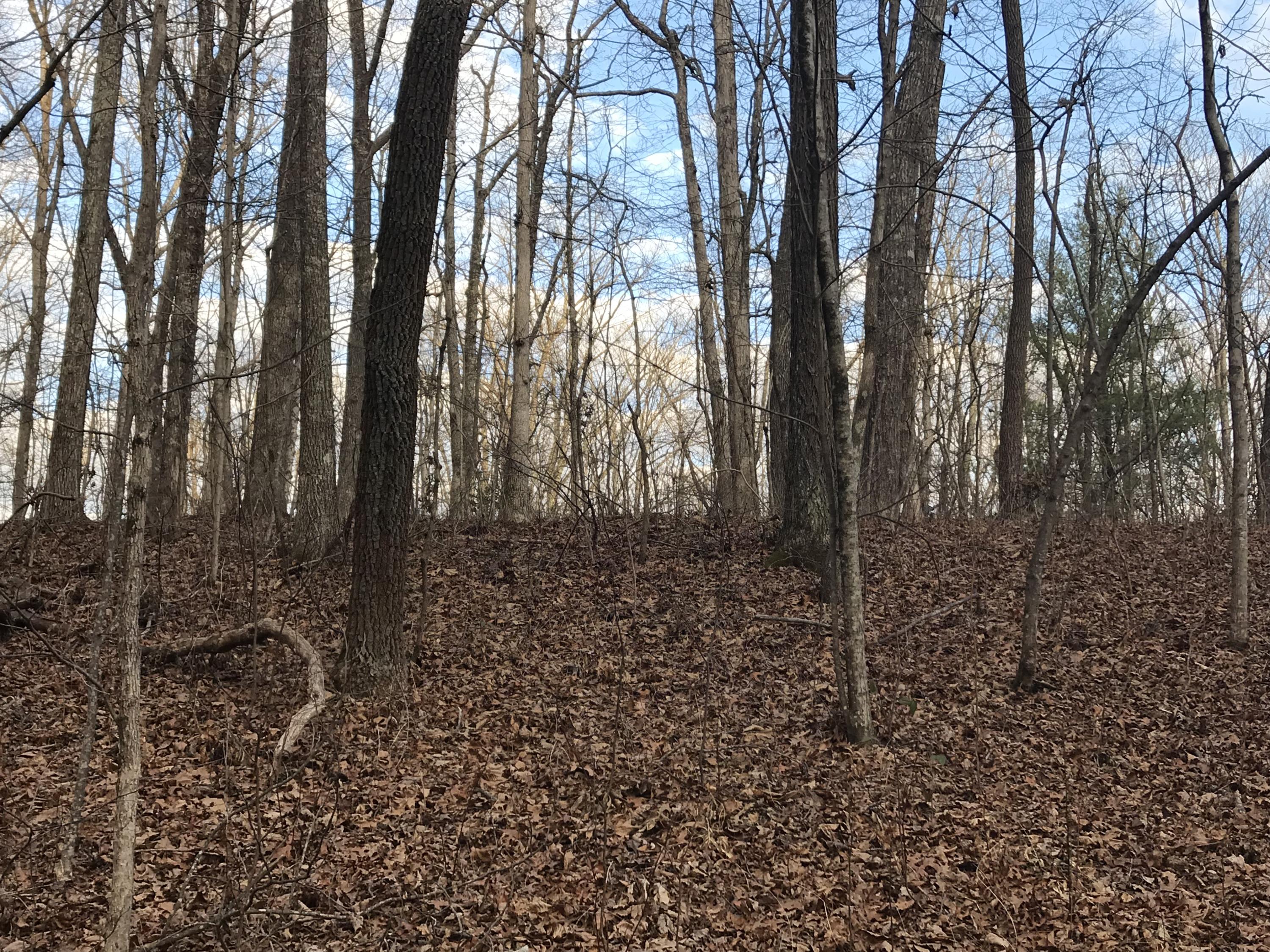 2.74-acres Valley View Road Crossville, TN 38572 - Photo 12 of 18 Valley View Rd