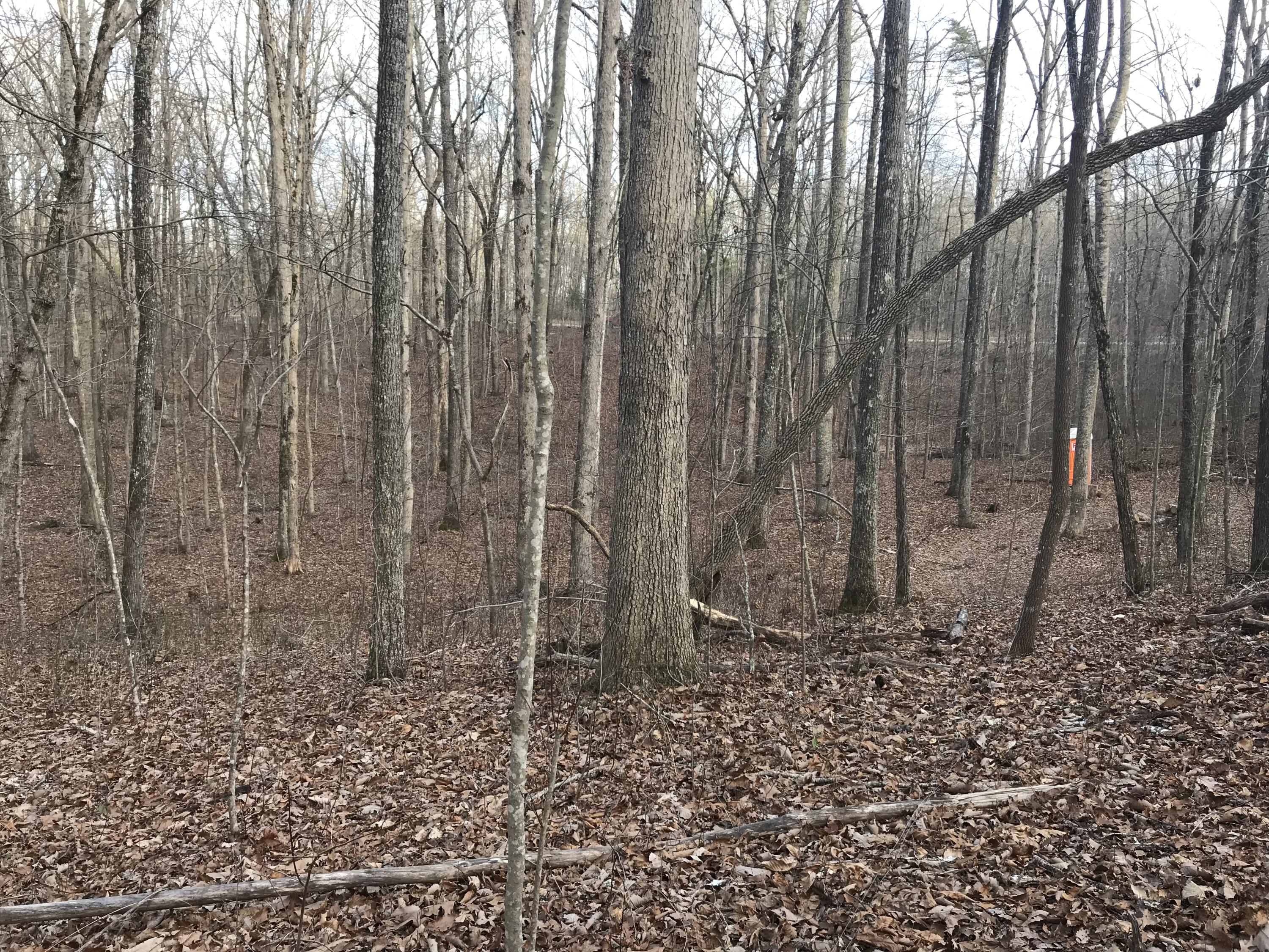 2.74-acres Valley View Road Crossville, TN 38572 - Photo 16 of 18 Valley View Rd