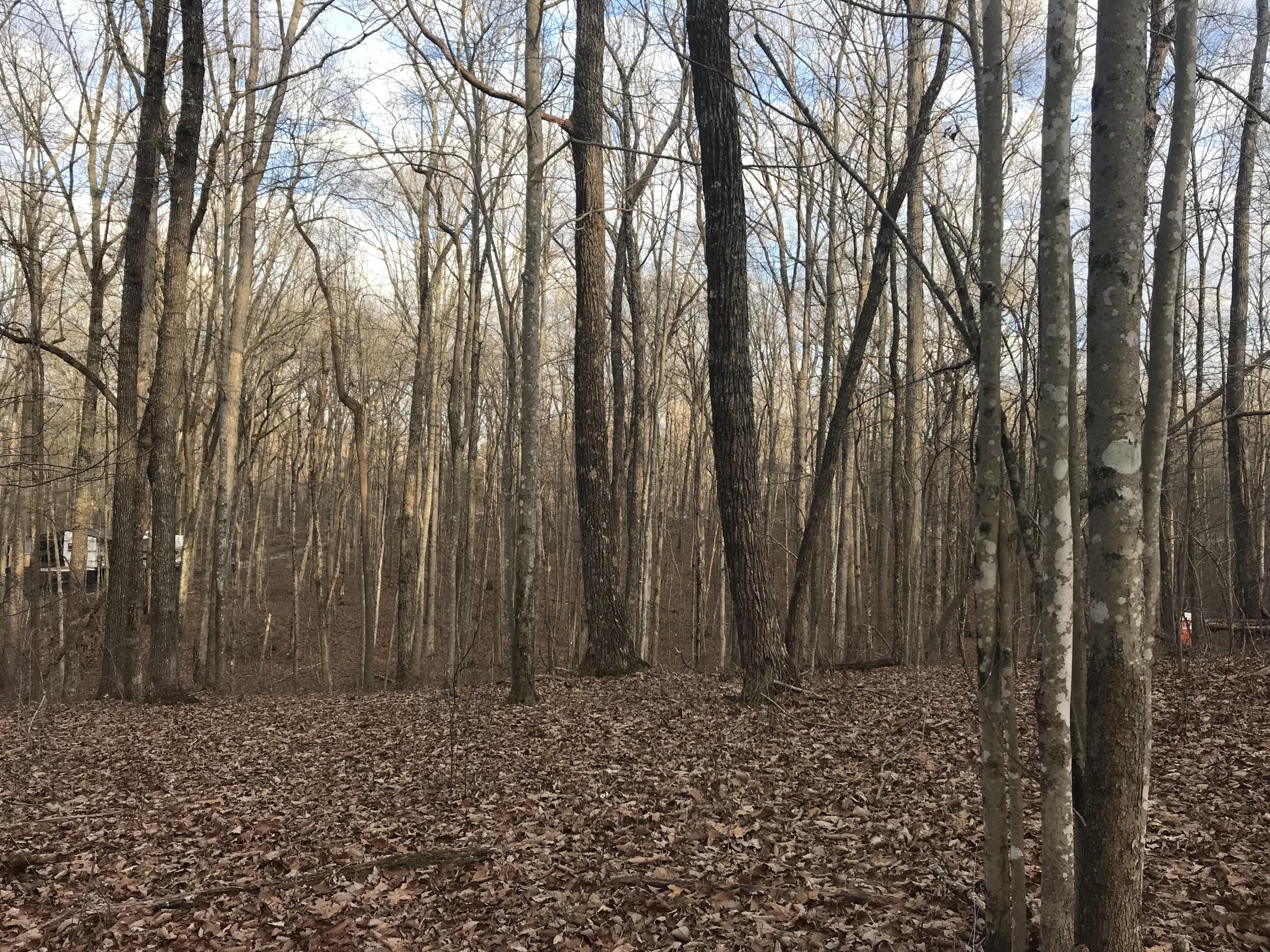 2.74-acres Valley View Road Crossville, TN 38572 - Photo 10 of 18 Valley View Rd