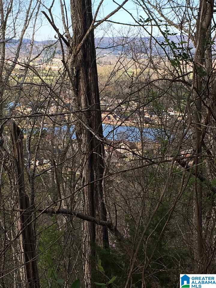 230 County Line Road Oxford, AL 36203 - Photo 30 of 50