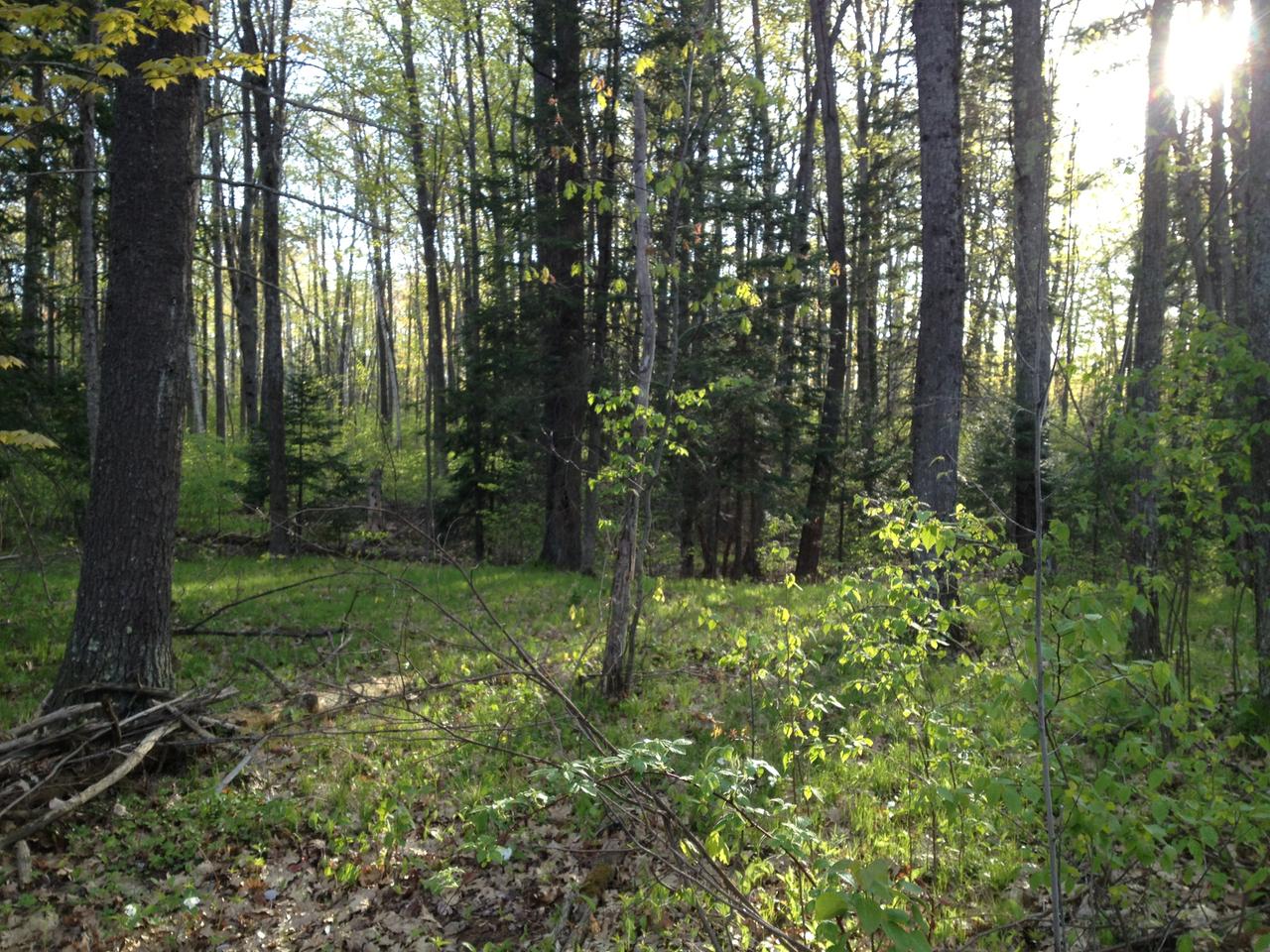 On Bay Highlands Drive, Unit 9 Rhinelander, WI 54501 - Photo 1 of 7 Gallery Image 1