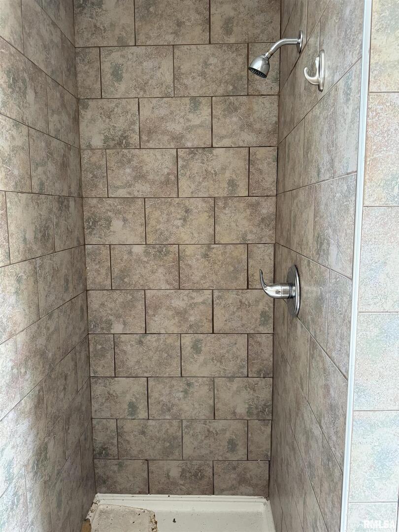 5435 Hickory Ridge Road Pomona, IL 62975 - Photo 38 of 67 a bathroom with a shower