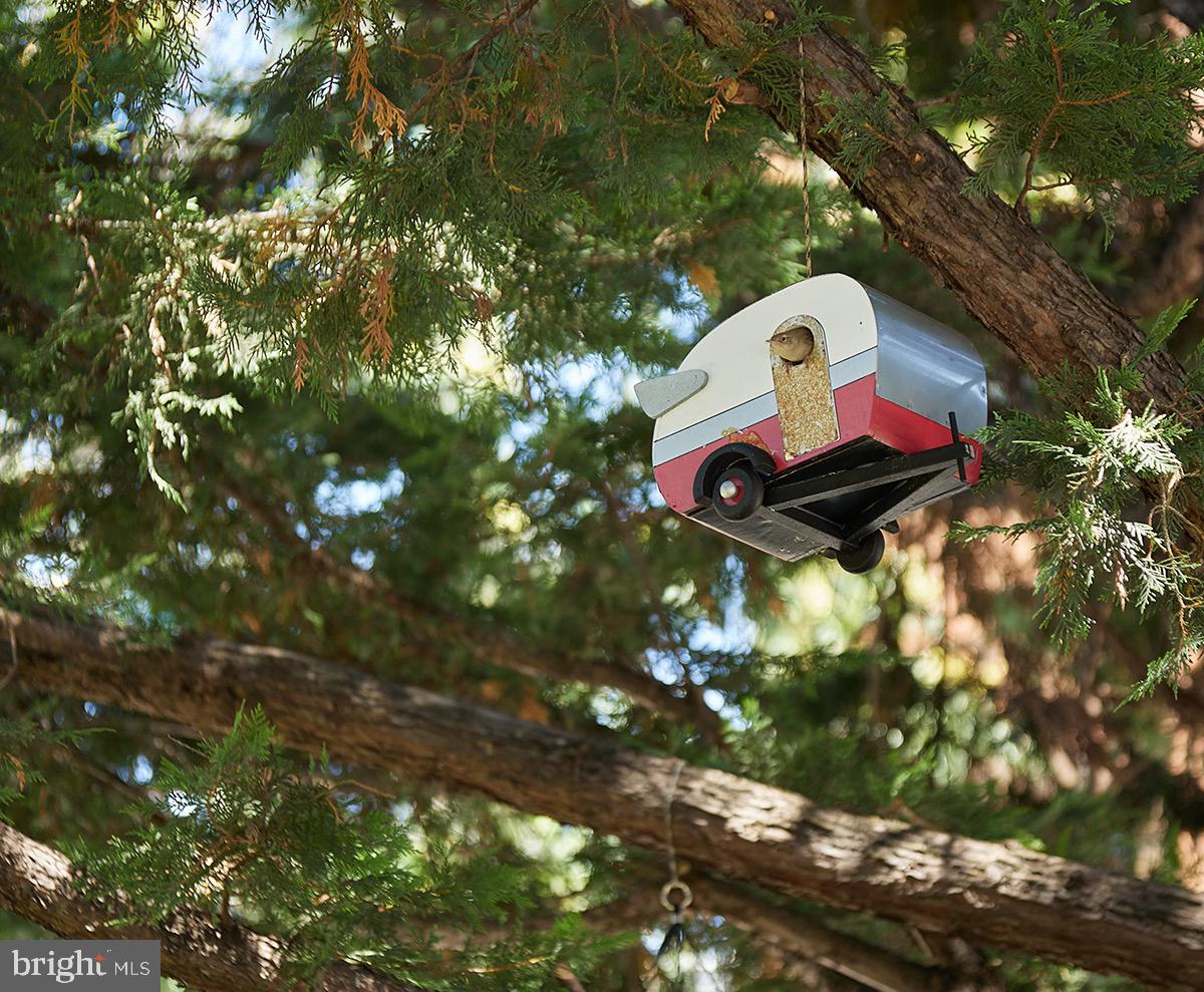 910 T Street Northwest, Unit B Washington, DC 20001 - Photo 24 of 37