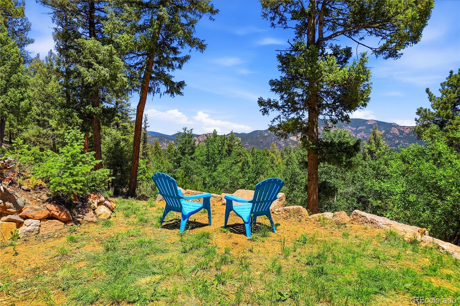 33888 Bardwell Road Pine, CO 80470 - Photo 4 of 49