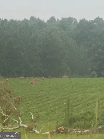 a view of a lake view