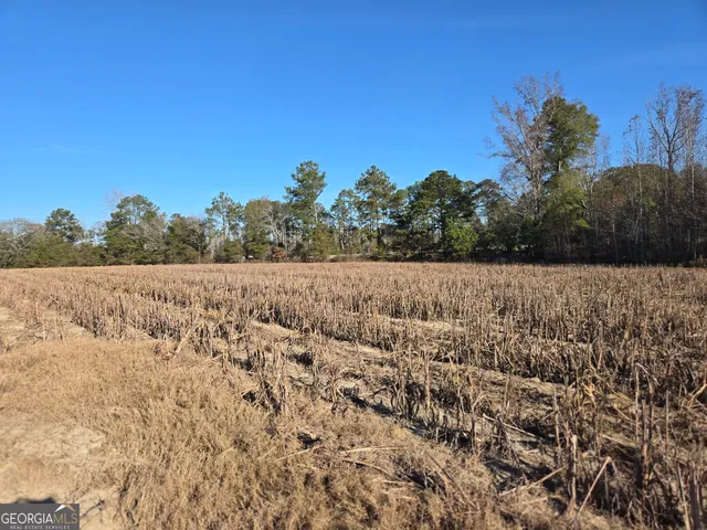 a view of a field with trees in the background