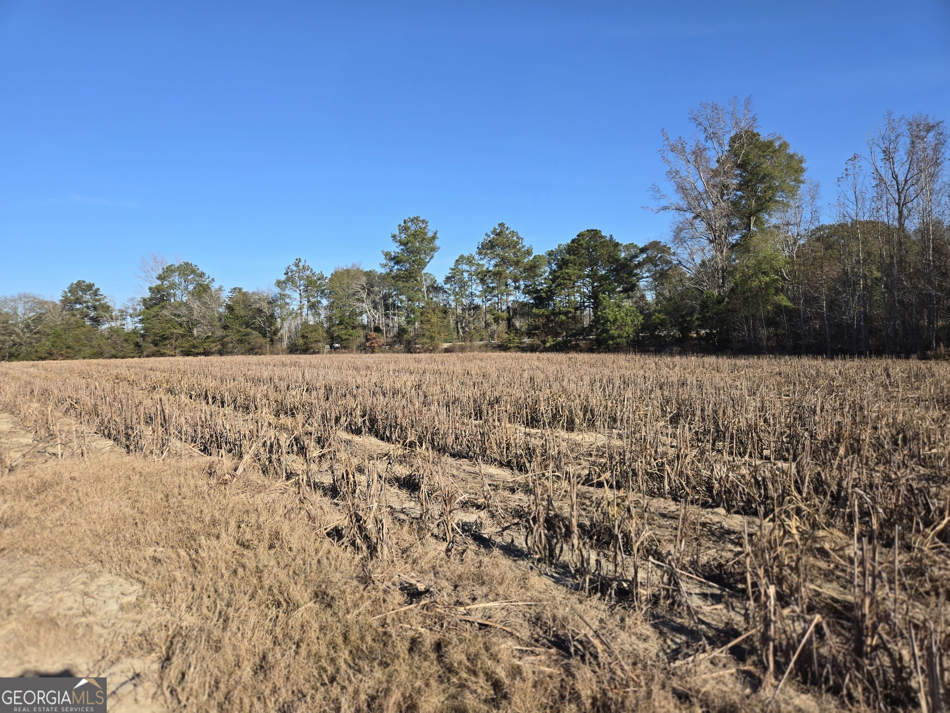 0 Morton Road Montrose, GA 31065 - Photo 4 of 6 a view of a field with trees in the background