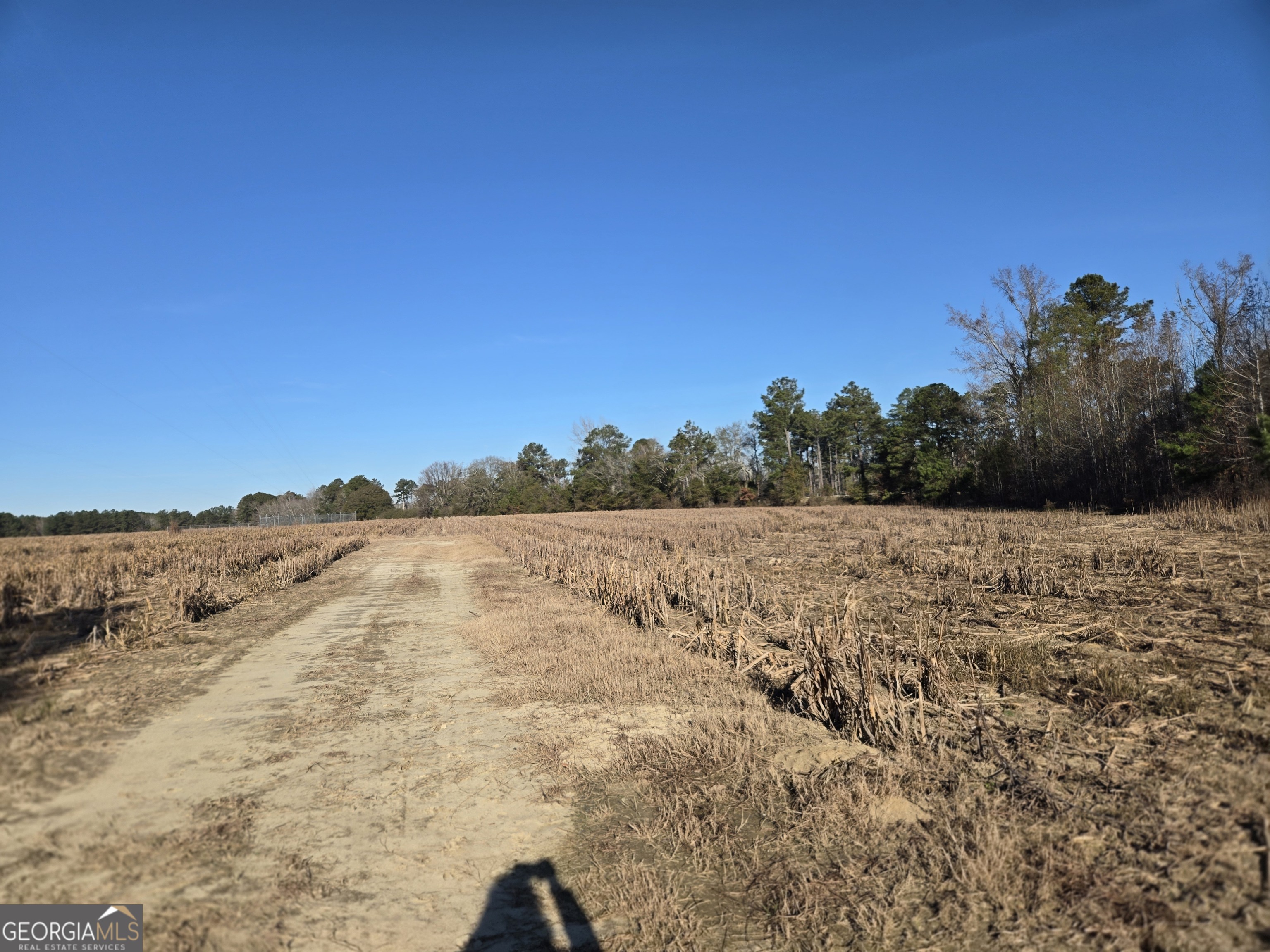 0 Morton Road Montrose, GA 31065 - Photo 5 of 6 a view of mountain view with sky view