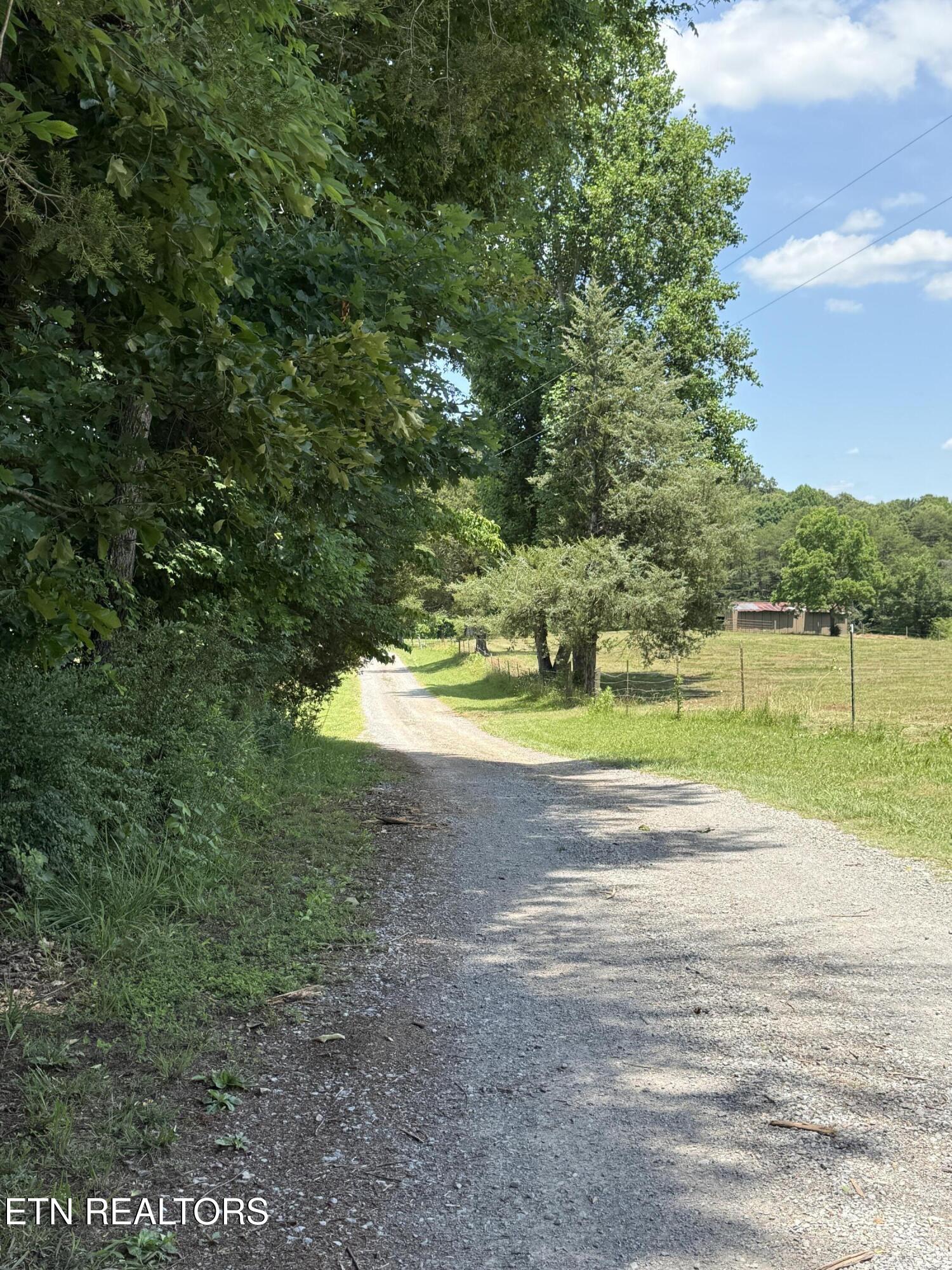 426 County Road 728 Riceville, TN 37370 - Photo 30 of 43 IMG_6454
