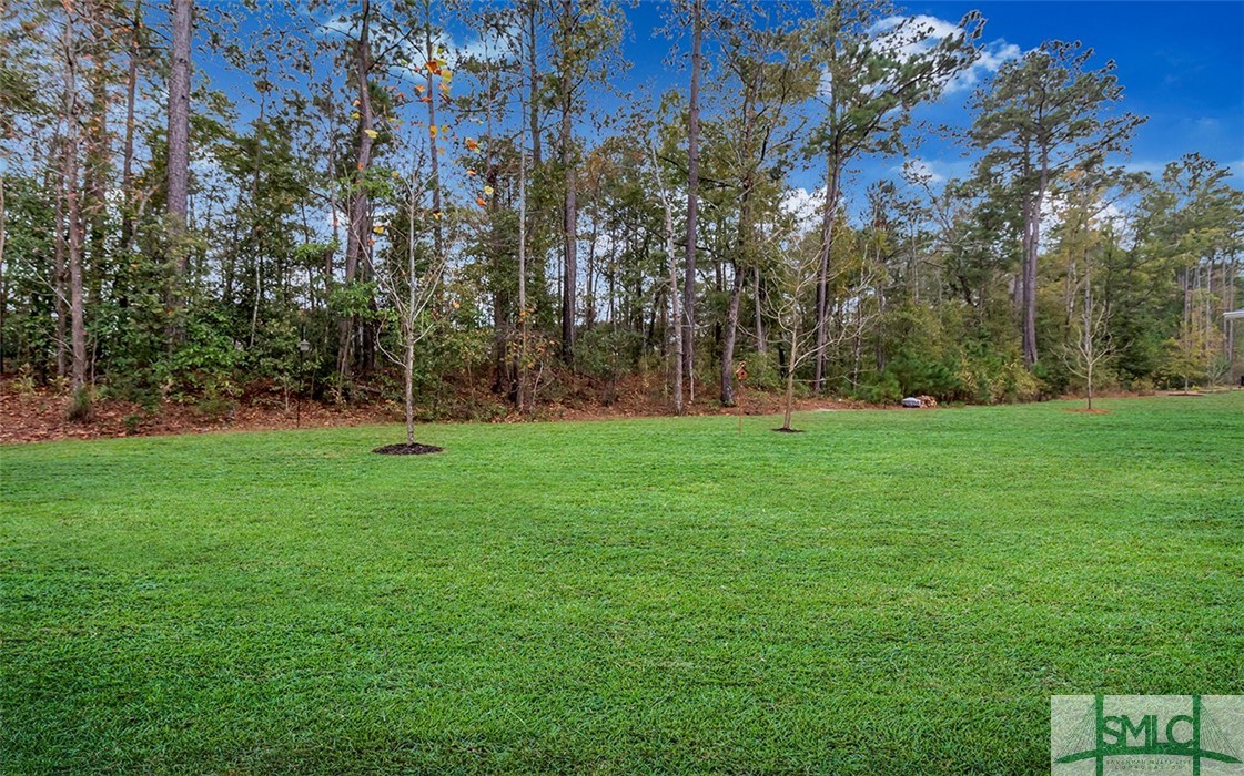 188 Martello Road Pooler, GA 31322 - Photo 36 of 40