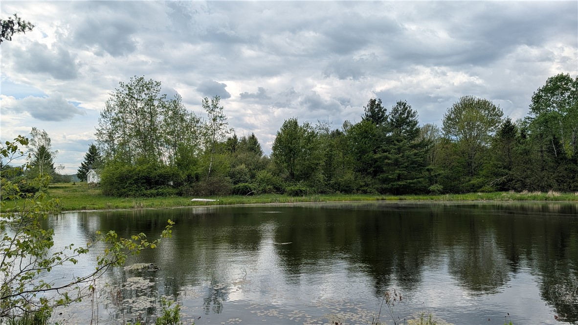 5820 Steam Mill Road Masonville, NY 13849 - Photo 37 of 47