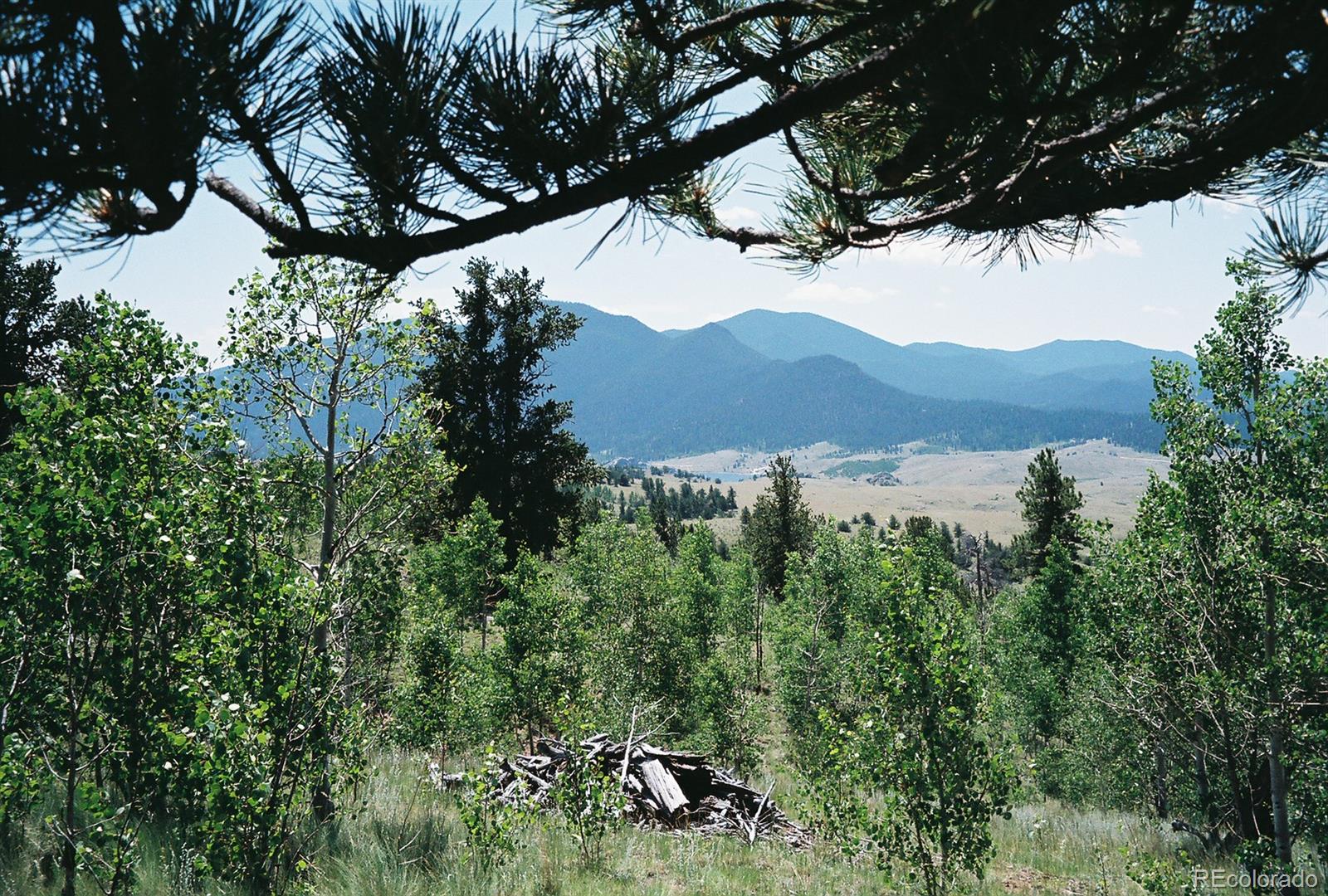 Cabin Gulch Road Jefferson, CO 80456 - Photo 1 of 22 Gallery Image 1