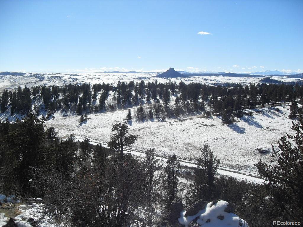Cabin Gulch Road Jefferson, CO 80456 - Photo 13 of 22 Gallery Image 13