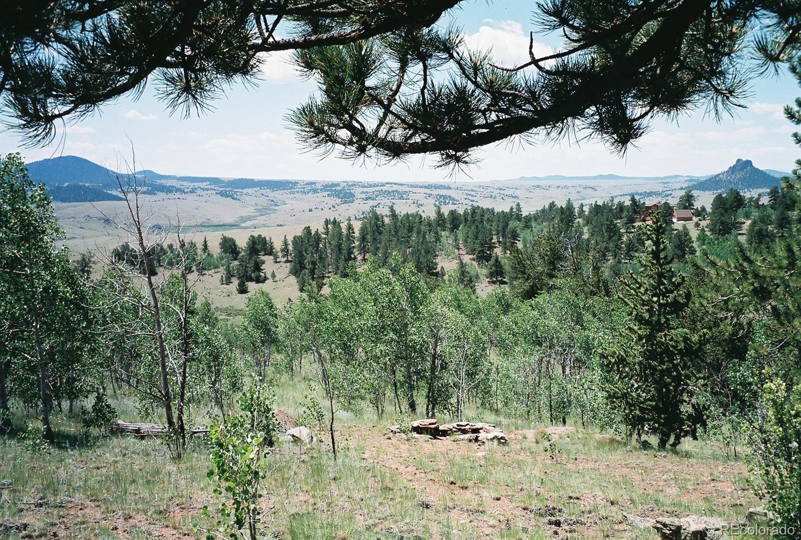Cabin Gulch Road Jefferson, CO 80456 - Photo 21 of 22 Gallery Image 21