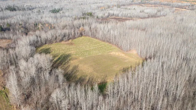 $70,000 | 11680 County 59 Road, Orr, MN 55771