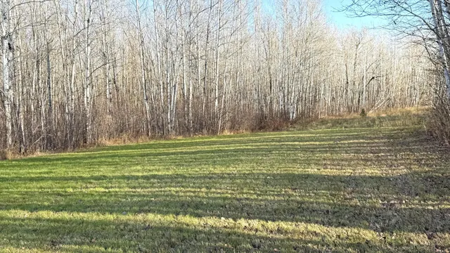 $70,000 | 11680 County 59 Road, Orr, MN 55771