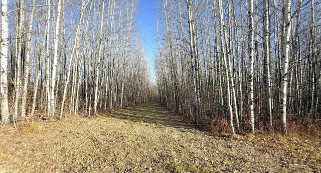 $70,000 | 11680 County 59 Road, Orr, MN 55771