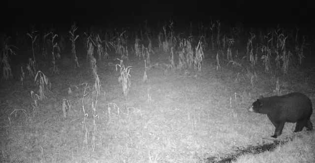 $70,000 | 11680 County 59 Road, Orr, MN 55771