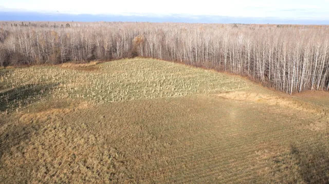 $70,000 | 11680 County 59 Road, Orr, MN 55771