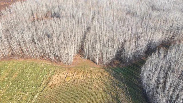 $70,000 | 11680 County 59 Road, Orr, MN 55771