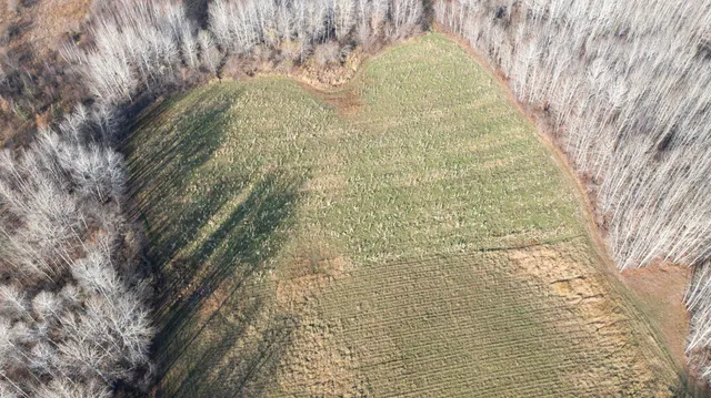 $70,000 | 11680 County 59 Road, Orr, MN 55771