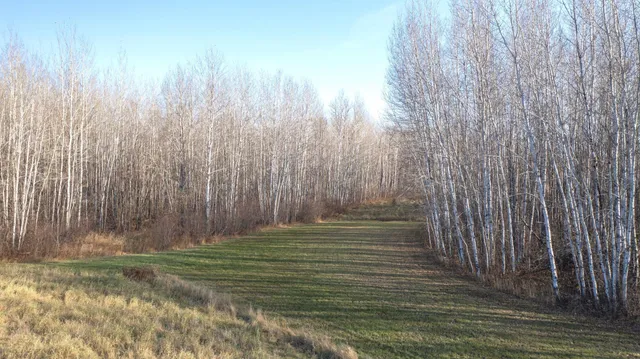 $70,000 | 11680 County 59 Road, Orr, MN 55771