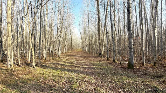 $70,000 | 11680 County 59 Road, Orr, MN 55771