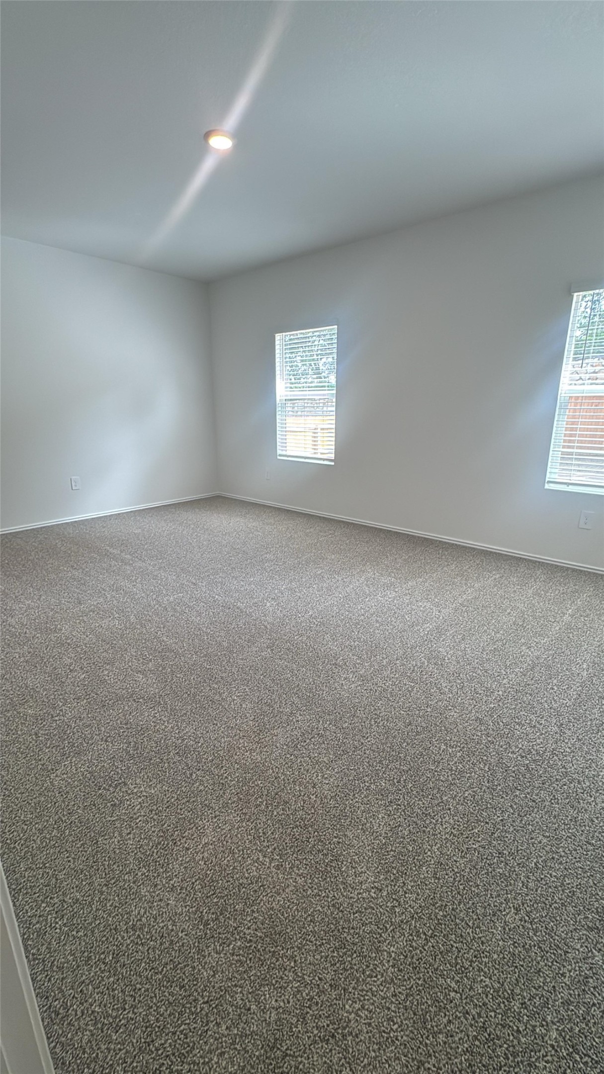 174 Balmorhea Street Kyle, TX 78640 - Photo 21 of 29 A spacious room offers comfortable carpet flooring and abundant natural light through multiple windows.